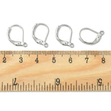 304 Stainless Steel Leverback Earring Findings, with Loop, Stainless Steel Color, 15x10x1.5mm, Hole: 1.5mm, 100pcs/Set