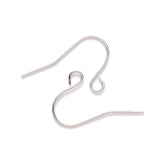 304 Stainless Steel Earring Hooks, Ear Wire, with Horizontal Loop, Stainless Steel Color, 13x22mm, Hole: 2mm, 21 Gauge, Pin: 0.7mm, 200pcs/Set