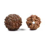 Undyed Natural Rudraksha Beads, Round, Sienna, 6~9x6~9mm, Hole: 0.8~1.2mm, 100pc/Set