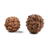 Undyed Natural Rudraksha Beads, Round, Sienna, 6~9x6~9mm, Hole: 0.8~1.2mm, 100pc/Set