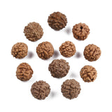 Undyed Natural Rudraksha Beads, Round, Sienna, 6~9x6~9mm, Hole: 0.8~1.2mm, 100pc/Set