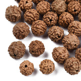 Undyed Natural Rudraksha Beads, Round, Sienna, 6~9x6~9mm, Hole: 0.8~1.2mm, 100pc/Set