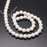 Shell Pearl Beads Strands, Round, White, 4mm, Hole: 0.8mm, about 87pcs/strand, 15 inch