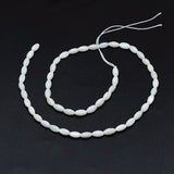 Dyed Natural Shell Beads Strands, Oval, White, 8x4mm, Hole: 1mm, about 50pcs/strand, 15.7 inch(40cm)