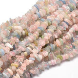 Natural Morganite Chip Beads Strands, 5~14x4~10mm, Hole: 1mm, about 15.5 inch~16.1 inch