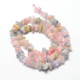 Natural Morganite Chip Beads Strands, 5~14x4~10mm, Hole: 1mm, about 15.5 inch~16.1 inch