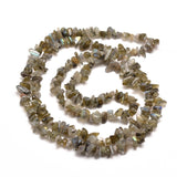 Natural Labradorite Chip Bead Strands, 5~8x5~8mm, Hole: 1mm, about 31.5 inch