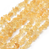 Natural Citrine Beads Strands, Grade A, Dyed & Heated, Chip, 5~8mm, Hole: 0.8mm, about 16 inch(40.6cm)