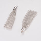 Iron Chain Tassel Pendants, Platinum, 53.5x6mm, Hole: 3.6mm, 5pc/Set