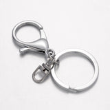 Alloy Split Key Rings, Keychain Clasp Findings, Platinum, 66mm, 5pc/Set