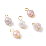 Natural Cultured Freshwater Pearl Charms, with Golden Brass Ball Head pins, Oval, Seashell Color, 10~12x5.5~7x4.5~6mm, Hole: 2.4~2.7mm, 10pc/Set