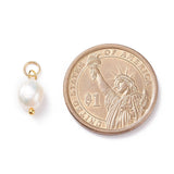 Grade B Natural Cultured Freshwater Pearl Charms, with 304 Stainless Steel Jump Rings, Polished Rice, Golden, 13.5~15x7~7.5x5~6mm, Hole: 3.6mm, 10pcs/Set