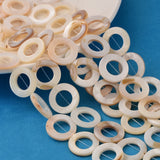 Natural White Shell Beads Strands, Mother of Pearl Shell Beads, Donut, White, about 20mm in diameter, 3mm thick, hole: 1mm, about 20pcs/strand