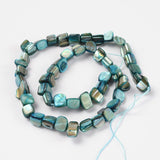 Shell Beads Strands, Dyed, Cyan, about 8~17.5mm long, 5~8mm wide, 5mm thick, hole: 1mm, 16 inch/strand, 40pcs/strand