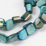 Shell Beads Strands, Dyed, Cyan, about 8~17.5mm long, 5~8mm wide, 5mm thick, hole: 1mm, 16 inch/strand, 40pcs/strand