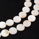 Natural White Shell Beads Strands, Mother of Pearl Shell Beads, Flat Round, White, 14x2~3mm, Hole: 0.9mm, about 26pcs/strand, 14.17 inch(36cm)