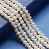 Natural Cultured Freshwater Pearl Beads Strands, Nuggets, Creamy White, 5~6mm, Hole: 0.8mm, about 62pcs/strand, 13.77 inch~14.17 inch