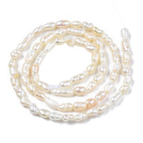 Natural Cultured Freshwater Pearl Beads Strands, Rice, Seashell Color, 2.5~8x2.5~3.5mm, Hole: 0.6mm, about 69~75pcs/strand, 13.98 inch~14.17 inch(35.5cm~36cm)