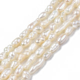 Natural Cultured Freshwater Pearl Beads Strands, Rice, Seashell Color, 2.5~8x2.5~3.5mm, Hole: 0.6mm, about 69~75pcs/strand, 13.98 inch~14.17 inch(35.5cm~36cm)