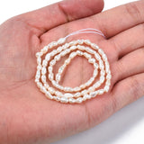 Natural Cultured Freshwater Pearl Beads Strands, Rice, Seashell Color, 2.5~8x2.5~3.5mm, Hole: 0.6mm, about 69~75pcs/strand, 13.98 inch~14.17 inch(35.5cm~36cm)