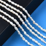 Natural Cultured Freshwater Pearl Beads Strands, Rice, Seashell Color, 2.5~8x2.5~3.5mm, Hole: 0.6mm, about 69~75pcs/strand, 13.98 inch~14.17 inch(35.5cm~36cm)