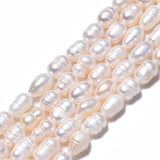 Natural Cultured Freshwater Pearl Beads Strands, Rice, Seashell Color, 8.5~12x6.5~7.5mm, Hole: 0.8mm, about 32~39pcs/strand, 13.82 inch~14.37 inch(35.1cm~36.5cm)