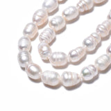 Natural Cultured Freshwater Pearl Beads Strands, Rice, Seashell Color, 8.5~12x6.5~7.5mm, Hole: 0.8mm, about 32~39pcs/strand, 13.82 inch~14.37 inch(35.1cm~36.5cm)