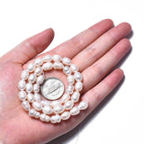 Natural Cultured Freshwater Pearl Beads Strands, Rice, Seashell Color, 8.5~12x6.5~7.5mm, Hole: 0.8mm, about 32~39pcs/strand, 13.82 inch~14.37 inch(35.1cm~36.5cm)