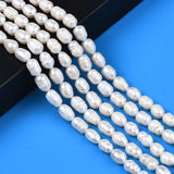 Natural Cultured Freshwater Pearl Beads Strands, Rice, Seashell Color, 8.5~12x6.5~7.5mm, Hole: 0.8mm, about 32~39pcs/strand, 13.82 inch~14.37 inch(35.1cm~36.5cm)