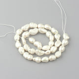 Natural Cultured Freshwater Pearl Beads Strands, Oval, Seashell Color, 8~14x7~9x4~7mm, Hole: 0.8mm, about 34pcs/strand, 13.78 inch(35cm)