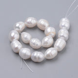 Natural Cultured Freshwater Pearl Beads Strands, Rice, Seashell Color, 10~14x9~10mm, Hole: 0.5mm, about 14pcs/strand, 6.69 inch(17cm)