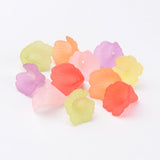 Mixed Transparent Acrylic Flower Beads, Frosted, Dyed, 18x18x17mm, Hole: 1.5mm, 20pc/Set