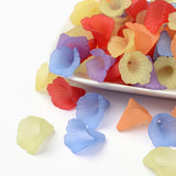 Mixed Transparent Acrylic Flower Beads, Frosted, Dyed, 18x18x17mm, Hole: 1.5mm, 20pc/Set