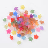 Transparent Acrylic Beads, Flower, Frosted, Mixed Color, 10x5mm, Hole: 1mm, 500pc/Set