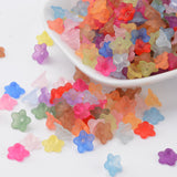 Transparent Acrylic Beads, Flower, Frosted, Mixed Color, 10x5mm, Hole: 1mm, 500pc/Set