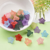 Mixed Color Transparent Acrylic Frosted Flower Beads, 17.5x12mm, Hole: 1.5mm, 50pc/Set