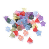 Mixed Color Transparent Acrylic Frosted Flower Beads, 17.5x12mm, Hole: 1.5mm, 50pc/Set