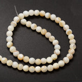 Natural Freshwater Shell Round Bead Strands, 6mm, Hole: 1mm, about 62pcs/strand, 14.5 inch