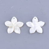 Carved Freshwater Shell Pendants, Flower, Ivory, 31~34.5x32~35.5x3~4mm, Hole: 1.6mm, 2pcs/Set