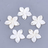 Carved Freshwater Shell Pendants, Flower, Ivory, 31~34.5x32~35.5x3~4mm, Hole: 1.6mm, 2pcs/Set