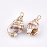 Electroplate Spiral Shell Pendants, with Iron Findings, Light Gold, Seashell Color, 18~25x10~15x8~12mm, Hole: 2mm, 5pc/Set