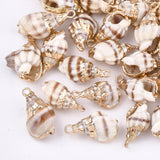 Electroplate Spiral Shell Pendants, with Iron Findings, Light Gold, Seashell Color, 18~25x10~15x8~12mm, Hole: 2mm, 5pc/Set