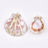 Electroplate Sea Shell Pendants, with Iron Findings, Light Gold, Seashell Color, 33~47x27~43x10~14mm, Hole: 2mm, 5pc/Set