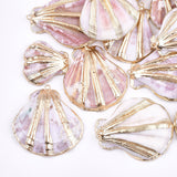 Electroplate Sea Shell Pendants, with Iron Findings, Light Gold, Seashell Color, 33~47x27~43x10~14mm, Hole: 2mm, 5pc/Set