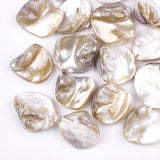 Freshwater Shell Beads, Chip, Light Khaki, 18~22x15~21x7.5~10mm, Hole: 0.8mm, 50g/Set