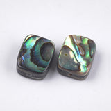 Abalone Shell/Paua Shell Beads, Rectangle, Colorful, 10x8x3.5~4mm, Hole: 1mm, 2pc/Set