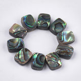 Abalone Shell/Paua Shell Beads, Rectangle, Colorful, 10x8x3.5~4mm, Hole: 1mm, 2pc/Set