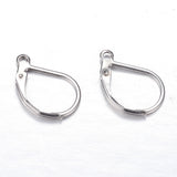 Tarnish Resistant 304 Stainless Steel Leverback Earring Findings, with Loop, Stainless Steel Color, 16x10.5x2mm, Hole: 1.5mm, Pin: 1mm, 20pc/Set