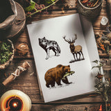 Rubber Clear Stamps, for Card Making Decoration DIY Scrapbooking, Animals, 22x18x0.8cm