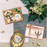 Light Clear Stamps